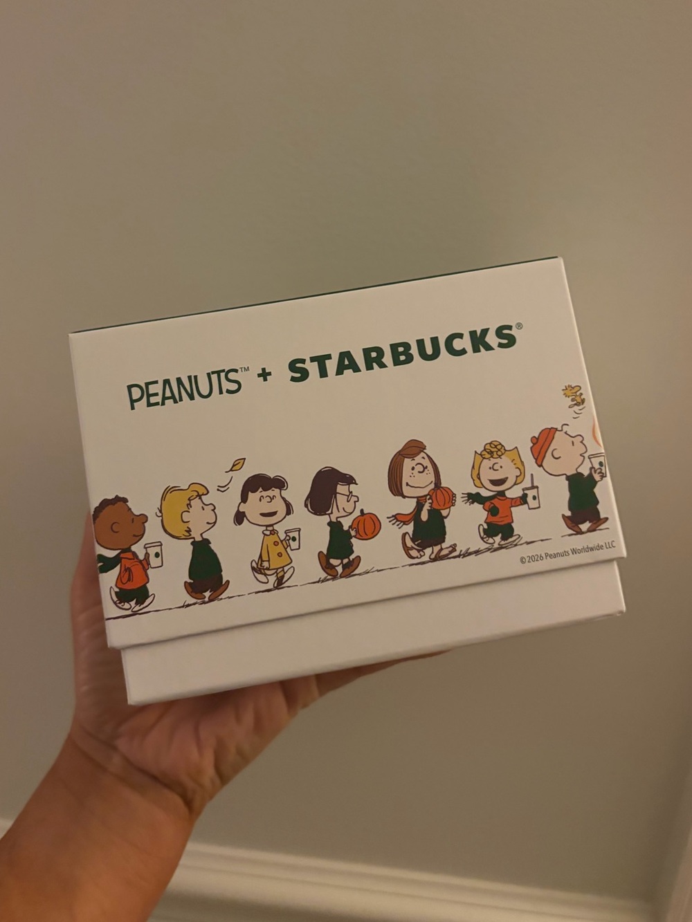 Starbucks x Peanuts great pumpkin snoopy Ceramic White and Green mug